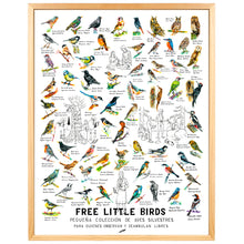 Load image into Gallery viewer, FREE LITTLE BIRDS