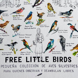FREE LITTLE BIRDS